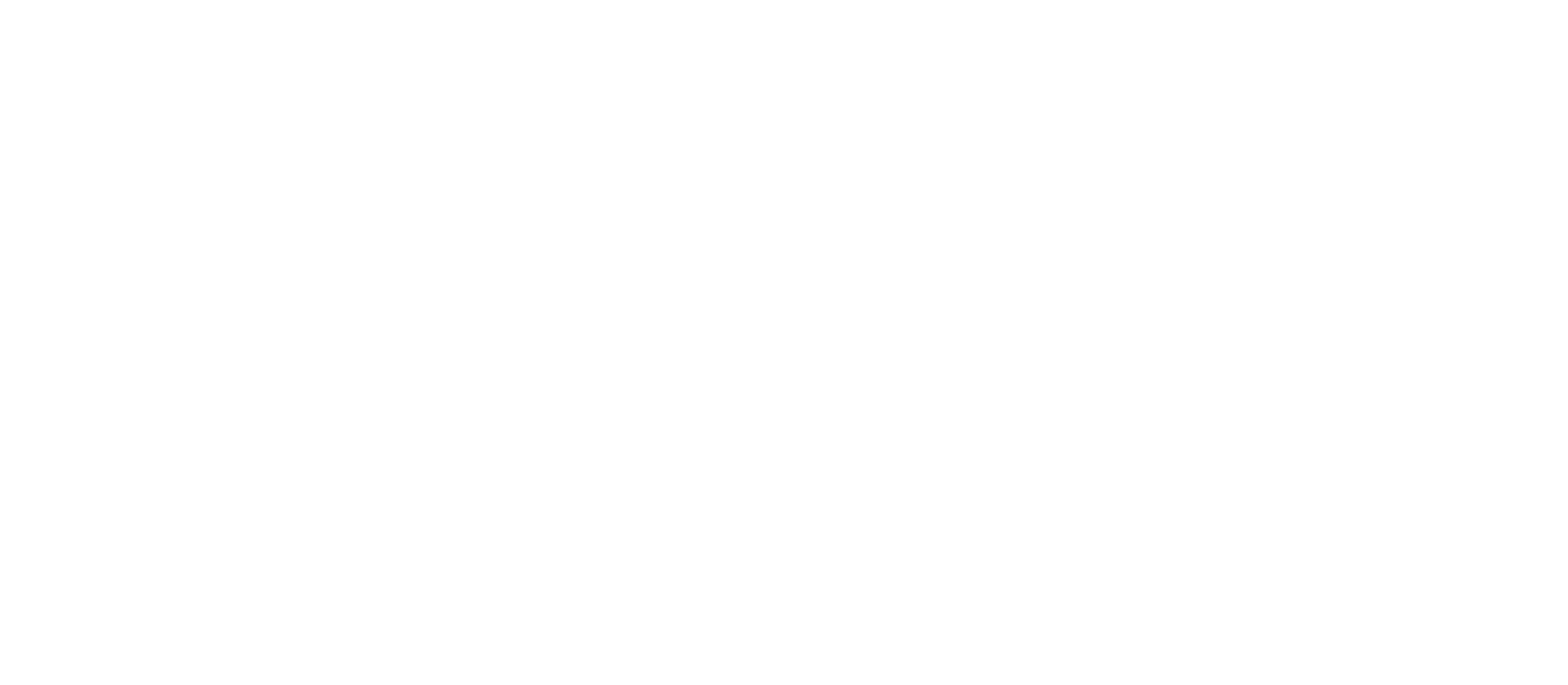 Logo Secondary Nxt Level