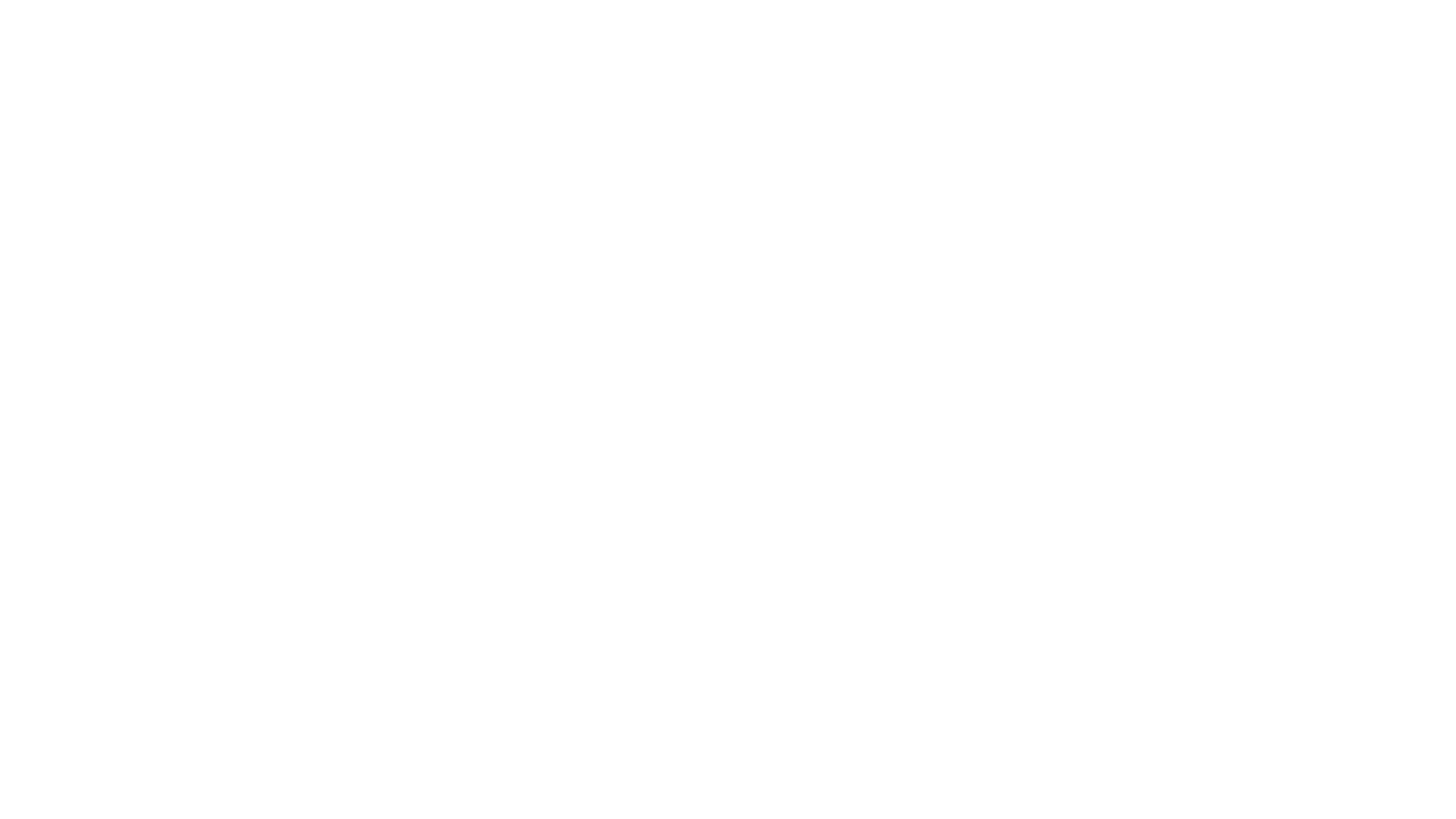 Logo Secondary Nxt Level